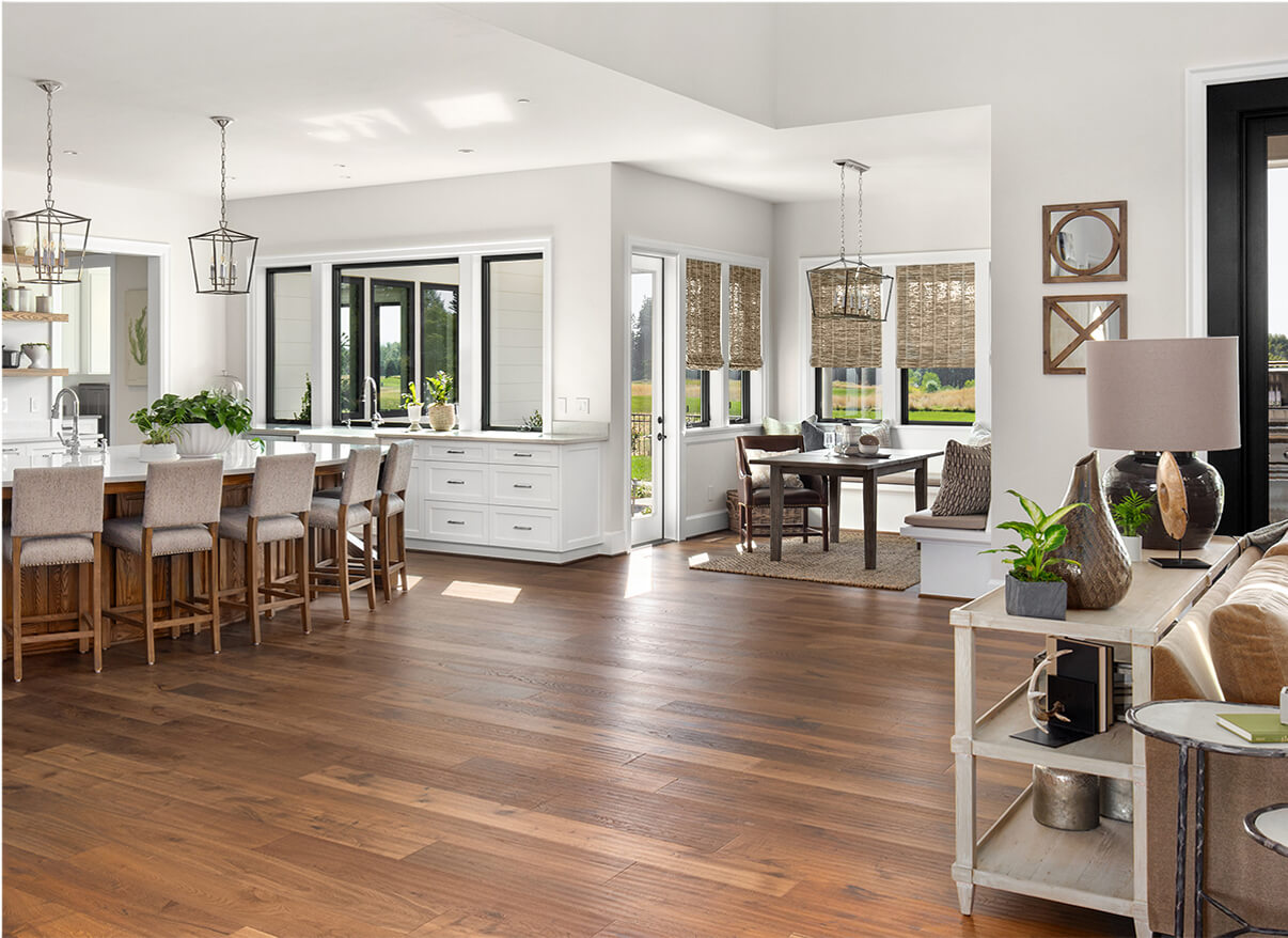 Living room and kitchen room scene