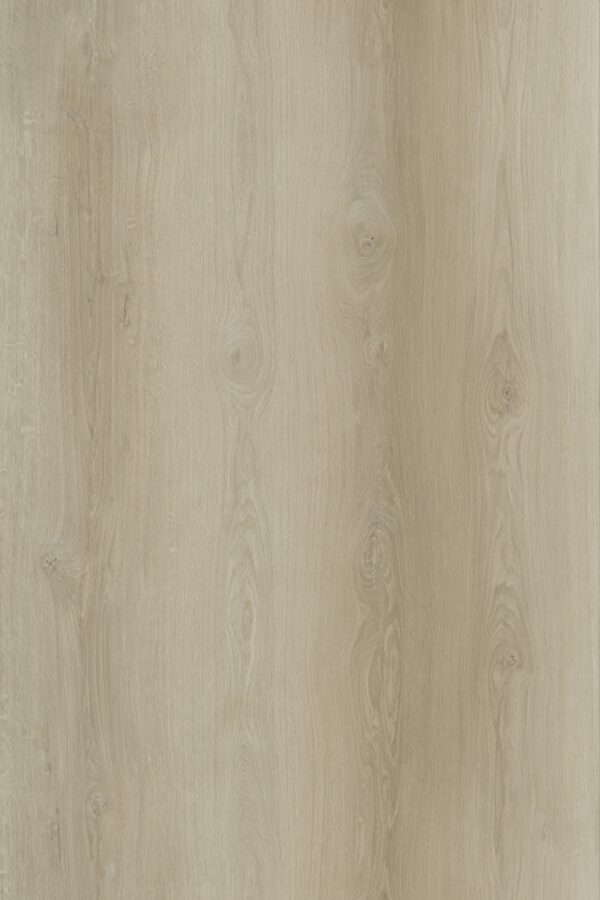 Divergent Flatlands DryBack LVT Swatch