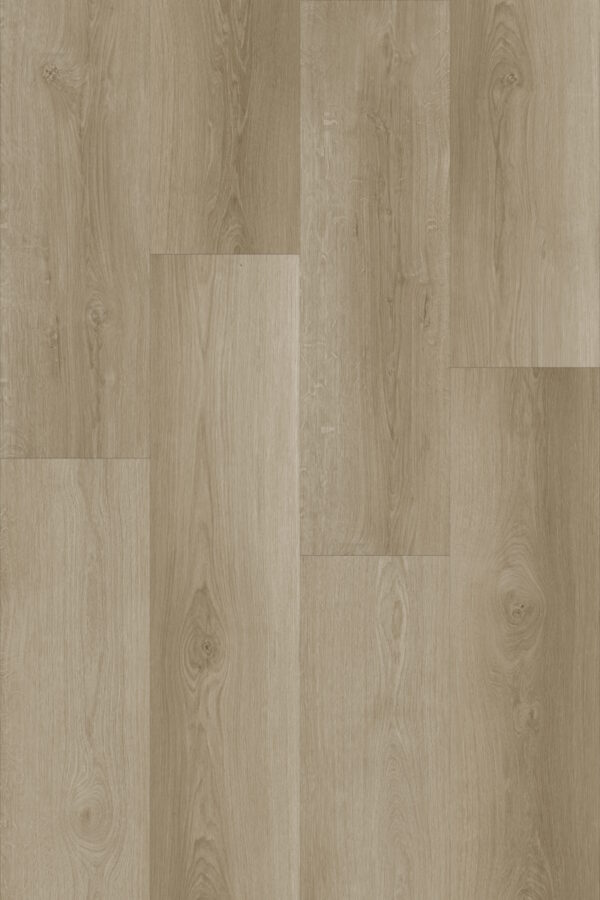 Divergent Montauk DryBack LVT Swatch