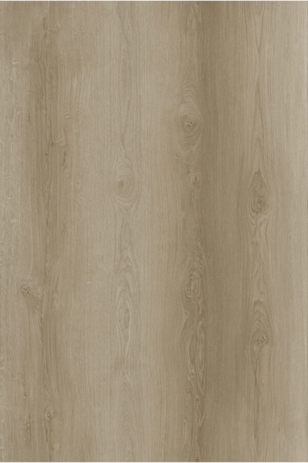 Divergent Montauk DryBack LVT Swatch 2